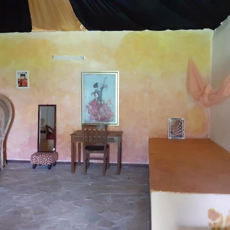 Gecko Nature Lodge Home Of Swahili Divers The Best Dive Center And Famous Gecko Restaurant Verani Esterno foto