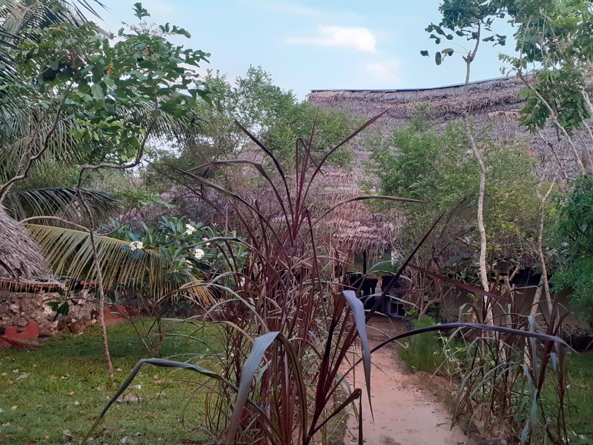 Gecko Nature Lodge Home Of Swahili Divers The Best Dive Center And Famous Gecko Restaurant Verani Esterno foto