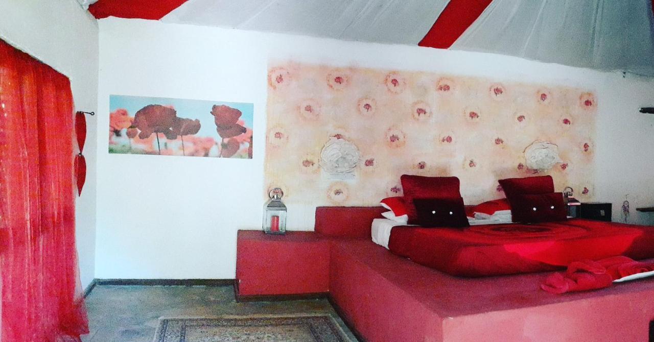 Gecko Nature Lodge Home Of Swahili Divers The Best Dive Center And Famous Gecko Restaurant Verani Esterno foto