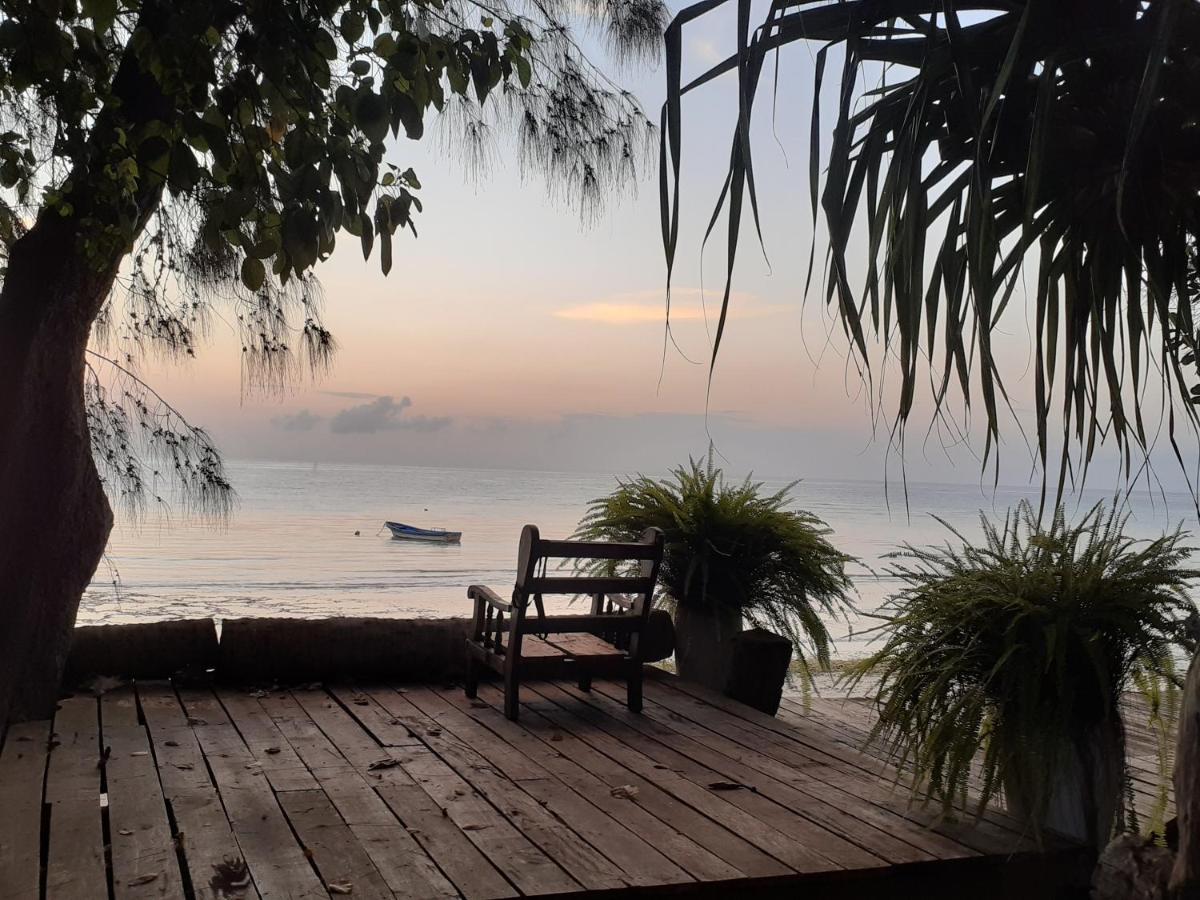 Gecko Nature Lodge Home Of Swahili Divers The Best Dive Center And Famous Gecko Restaurant Verani Esterno foto