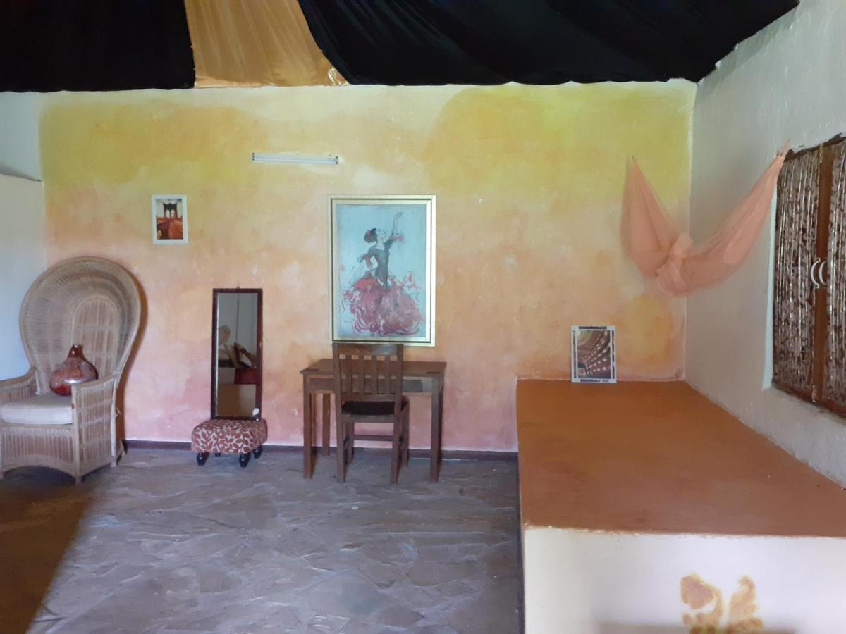 Gecko Nature Lodge Home Of Swahili Divers The Best Dive Center And Famous Gecko Restaurant Verani Esterno foto