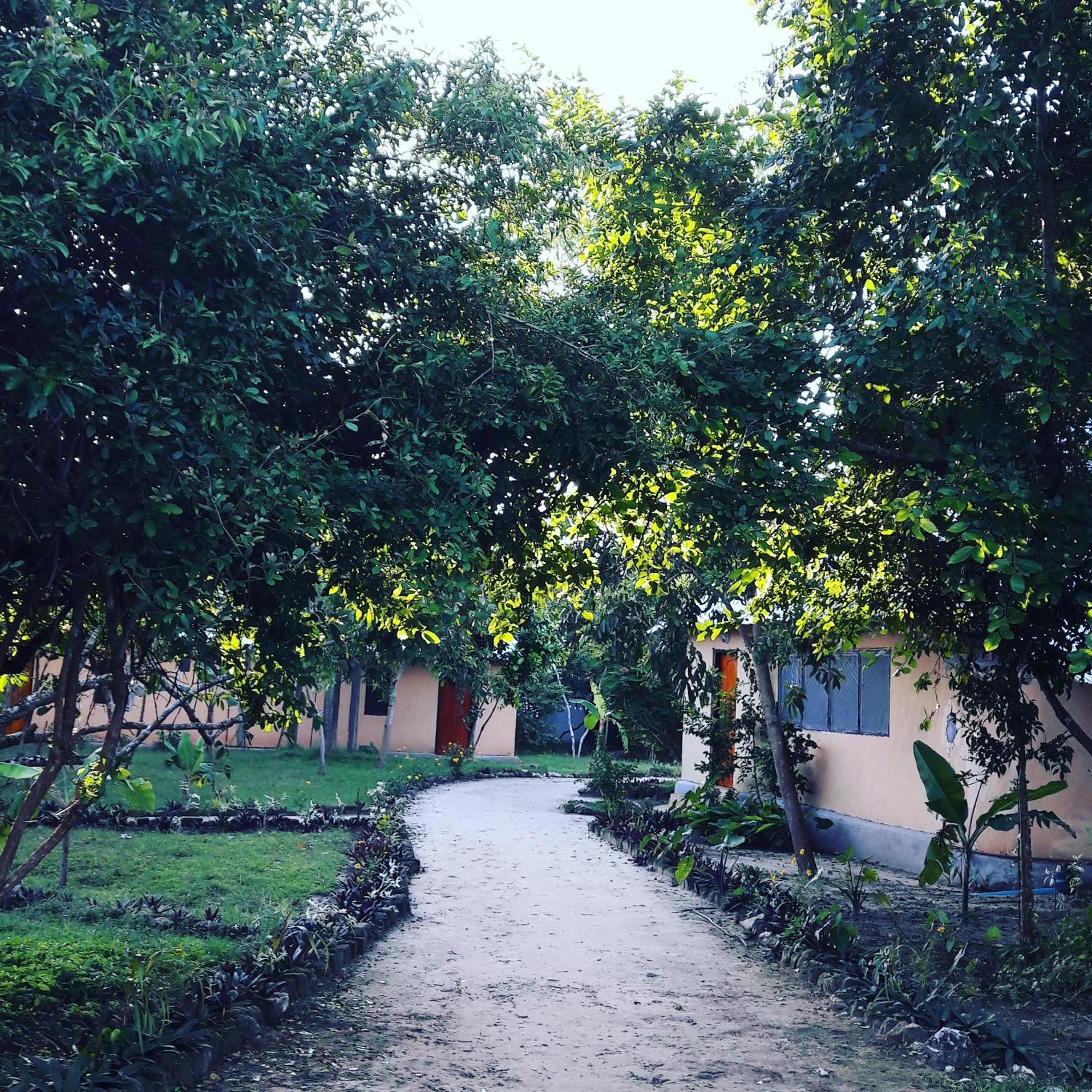Gecko Nature Lodge Home Of Swahili Divers The Best Dive Center And Famous Gecko Restaurant Verani Esterno foto