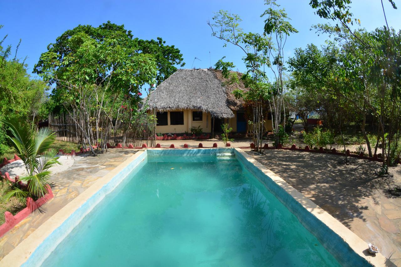 Gecko Nature Lodge Home Of Swahili Divers The Best Dive Center And Famous Gecko Restaurant Verani Esterno foto