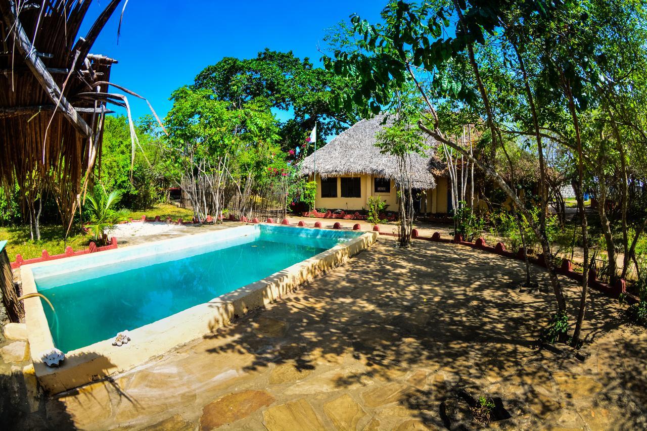 Gecko Nature Lodge Home Of Swahili Divers The Best Dive Center And Famous Gecko Restaurant Verani Esterno foto
