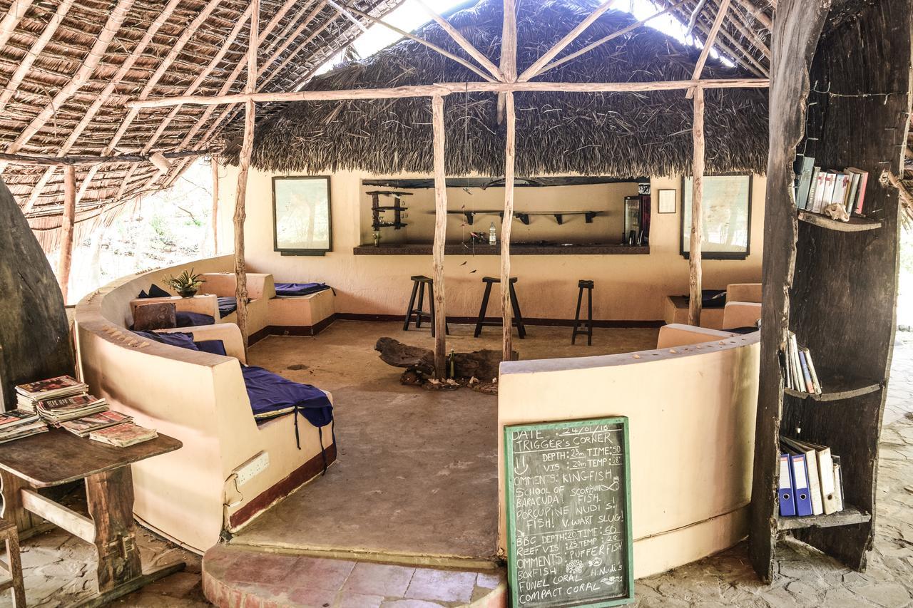 Gecko Nature Lodge Home Of Swahili Divers The Best Dive Center And Famous Gecko Restaurant Verani Esterno foto
