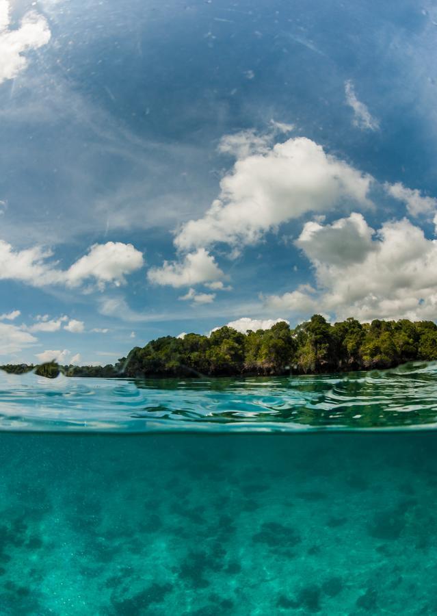 Gecko Nature Lodge Home Of Swahili Divers The Best Dive Center And Famous Gecko Restaurant Verani Esterno foto