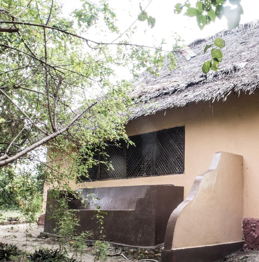 Gecko Nature Lodge Home Of Swahili Divers The Best Dive Center And Famous Gecko Restaurant Verani Esterno foto