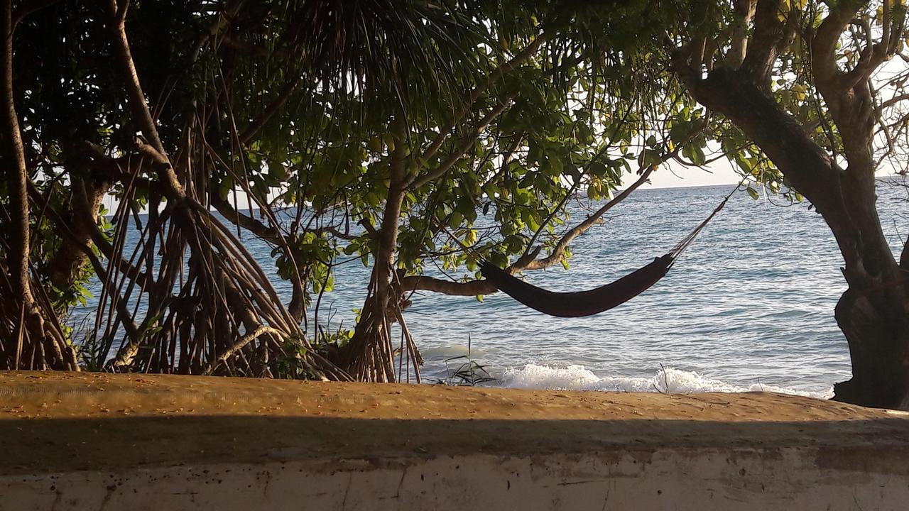 Gecko Nature Lodge Home Of Swahili Divers The Best Dive Center And Famous Gecko Restaurant Verani Esterno foto