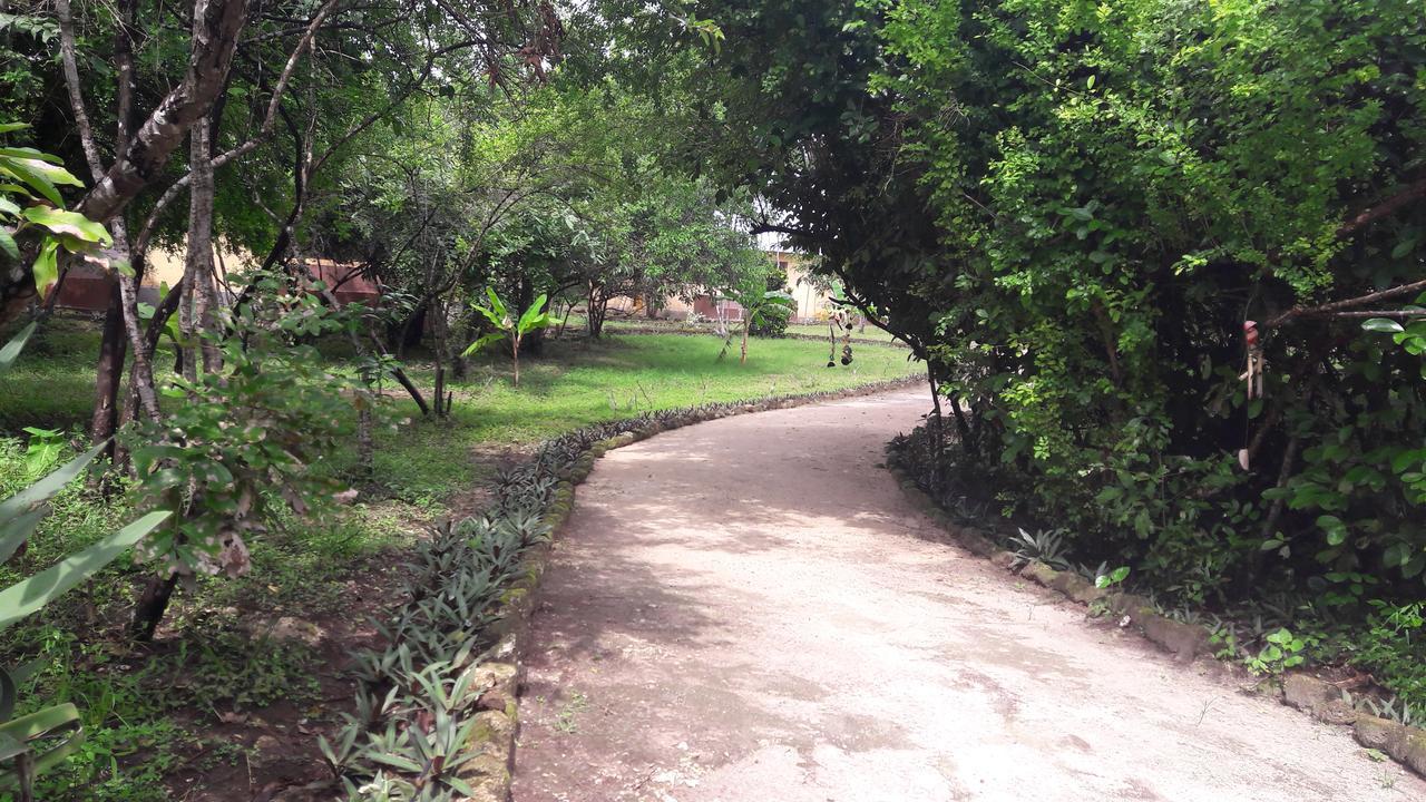 Gecko Nature Lodge Home Of Swahili Divers The Best Dive Center And Famous Gecko Restaurant Verani Esterno foto