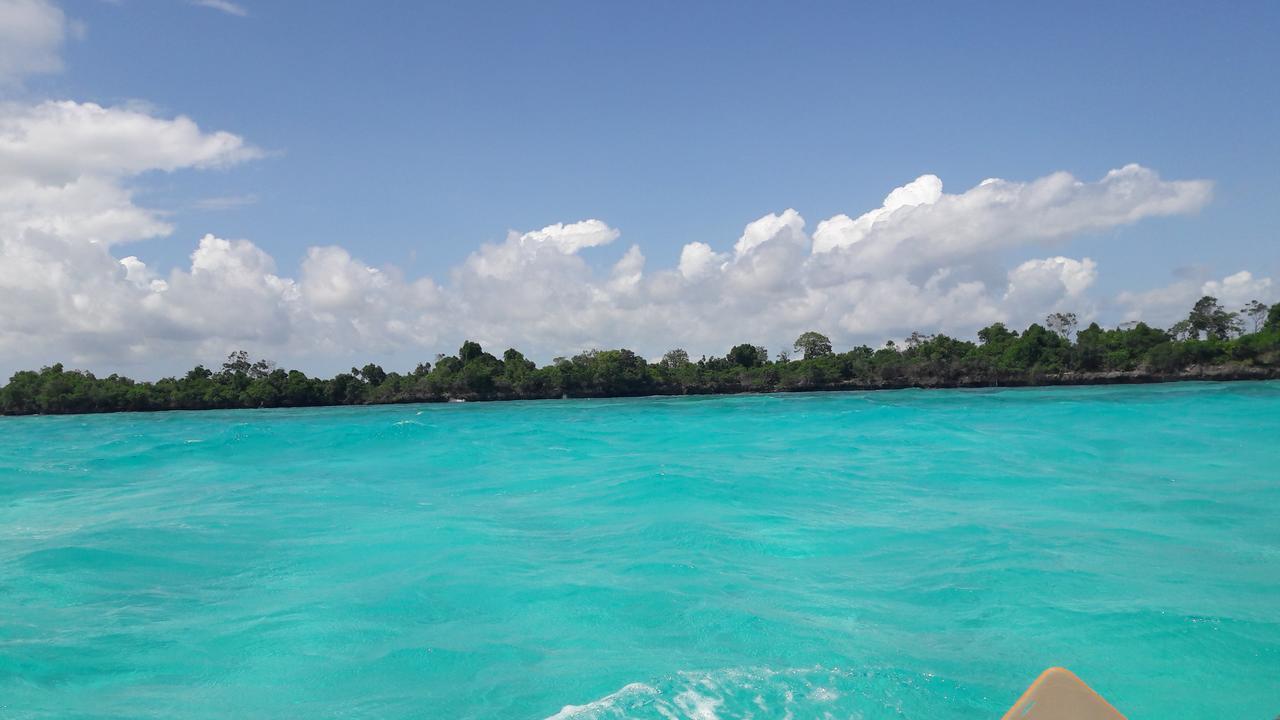 Gecko Nature Lodge Home Of Swahili Divers The Best Dive Center And Famous Gecko Restaurant Verani Esterno foto
